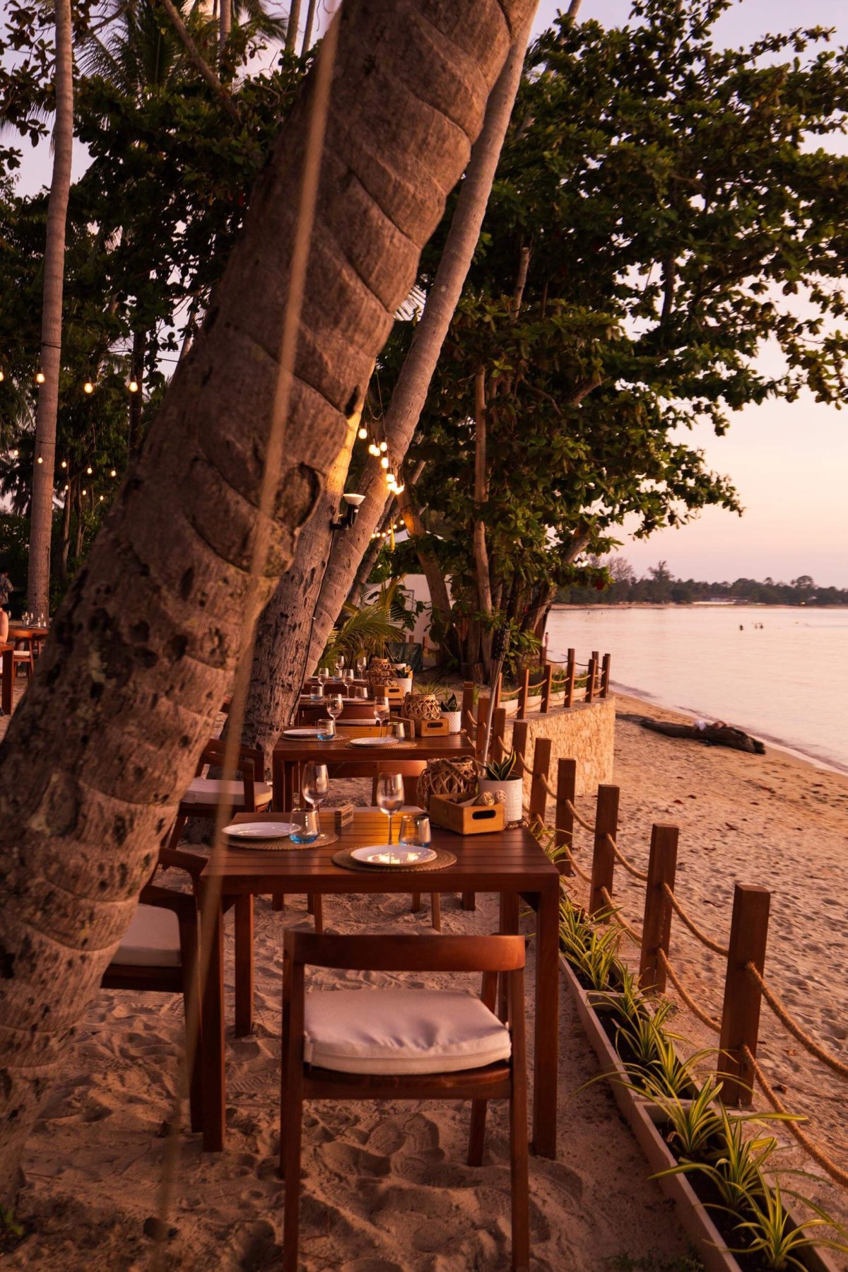 Dining tables on the beach surrounded by palm trees
